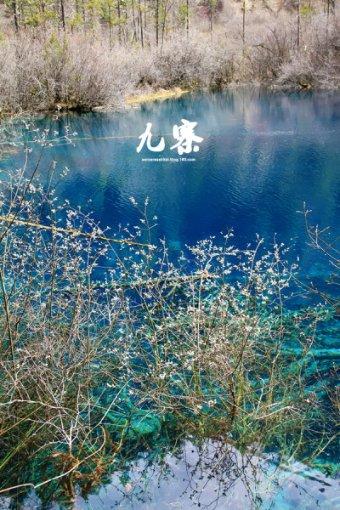 春雨直播app