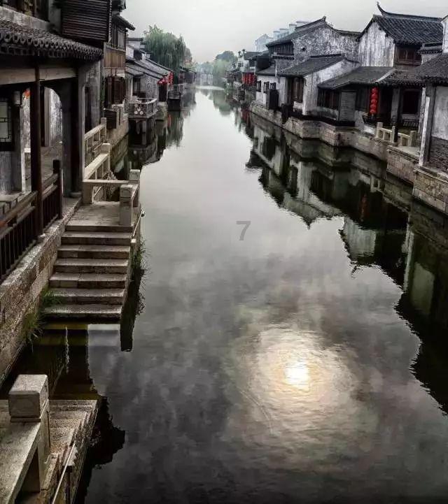 如果你家狗狗老了,你会好好帮它度过余生,还是狠心抛弃它呢?